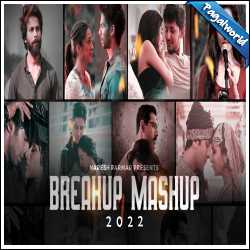 Breakup Mashup 2022 - Naresh Parmar