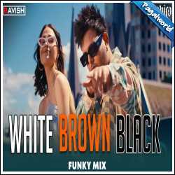 White Brown Black - Funky Mix DJ Ravish