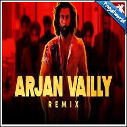 Arjan Vailly Remix - DJ NYK