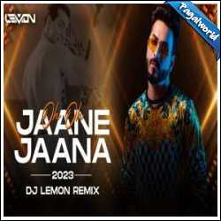 O O Jaane Jana Remix