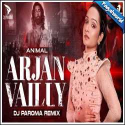 Arjan Vailly Remix DJ Paroma