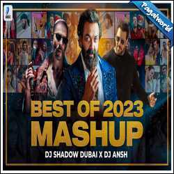 Best of 2023 MASHUP - DJ Shadow Dubai