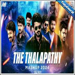 The Thalapathy Mashup 2024 - Dj Avi