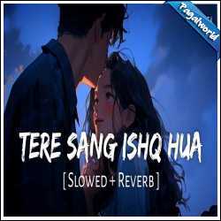 Tere Sang Ishq Hua (Slowed Reverb)