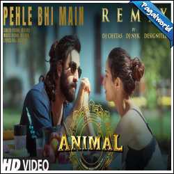 Pehle Bhi Main Remix - DJ Chetas X DJ NYK