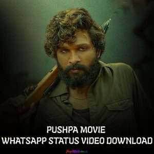 Pushpa Movie Status Video Download